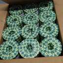 ECOLipak Bamboo Toilet Paper 3 Ply, Septic Safe Toilet Tissue, 12 Double Rolls, 320 Sheets Per Roll, Tree Free, Non Toxic, Soft and Absorbent, Eco Friendly Dye-Free Paper, Brown