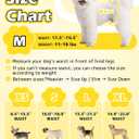 Dono Dog Diapers Female with Stretchy Waist, Disposable Full Wrap Female Puppy Dog in Heat Period, 360 Leak-Proof Super Absorbent Doggie Puppy Diaper for Small Medium Large Dogs