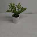 Artificial Palm Tree Plant, Potted Artificial Plant for Home Office Decoration, 12" Tall, Ships in White Ceramic Planter