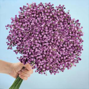 N&T NIETING Babys Breath Artificial Flowers Bulk, 10Pcs Fake Gypsophila Bouquet Flowers Real Touch Faux Babies Breath Arrangement for Wedding Floral Party Home Centerpieces Vase Decoration, Purple