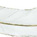CosmoLiving by Cosmopolitan Polystone Bird Home Wall Decor Feather Wall Sculpture, Wall Art 31" x 1" x 7", White