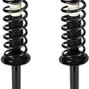 Rear Strut Shock Assembly w/Coil Spring for Honda Accord 2008-2012, Replace 172563, Left & Right, 2PCS