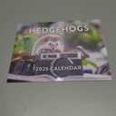 Hedgehog Calendar 2026 Monthly Wall Calender 12 Month | American Made In The USA
