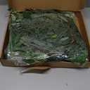 5 Pack 6 ft Artificial Greenery Garland for Table, Faux Willow Leaf Garland for Room Decor, Green Garlands for Decoration, Fake Vines Hanging Plants for Home Bedroom Wall Wedding Decor