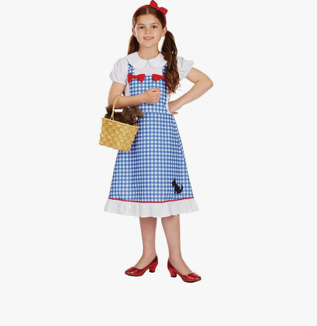 fun shack Dorothy Costume for Girls, Wizard of Oz Costumes for Kids, Girls Halloween Costume, Halloween Costume for Kids, Size XL