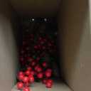 XmasExp Set of 2 Outdoor Christmas Tree with Lights Small Planter Bushes Battery Operated Artifical Urn Filler Outside Christmas Decorations for Front Porch,Yard,Pathway (Dark Green)