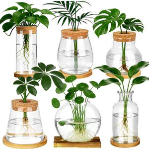 6 Pcs Plants Propagation Stations Glass Planter Terrariums with Wooden Lid and Bamboo Stand Desktop Propagation Vases Jars for Plant Growing Hydroponic Home Office Tabletop Garden Decoration