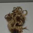 KooKaStyle Invisible Wire Hair Extensions with Transparent Headband Adjustable Size 4 Secure Clips Long Wavy Secret Wire Hairpiece for Women (20 Inch, Light Brown mix Golden Blonde)