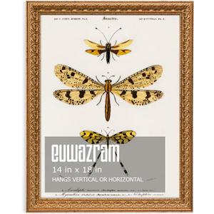 Ornate Classic Gold 14x18 Picture Frame with Raised Leaf Border, 14 x 18 in
