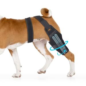 Dog Knee Brace, Torn ACL Hind Leg Support, Rear Stability for CCL Injury Recovery & Hip Dysplasia, Adjustable Joint Wrap for Small Medium Large Pets (Left, M)