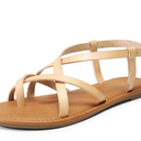 DREAM PAIRS Women's Flat Sandals Dressy Summer Stappy Comfortable Ankle Elastic T-Strap Beach Thong Sandals 7.5