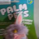 Palm pets