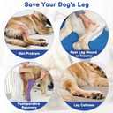 BARKLESS Single Dog Rear Leg Sleeve to Stop Licking, Breathable Male Female Dog Recovery Suit for Post Surgery, Comfortable Back Leg Sleeve for Wound Healing, Protective Cone Collar Alternative, M