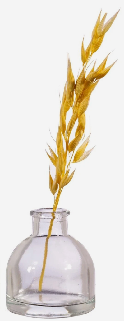 Set of 4 Bud Vases Small Glass 6.2cm - Clear