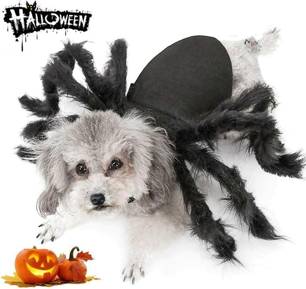 Spider Costume for Halloween Party Decoration, Cosplay Costumes for Small Dogs and Cat, Puppy Dress Up Accessories Black (Medium)