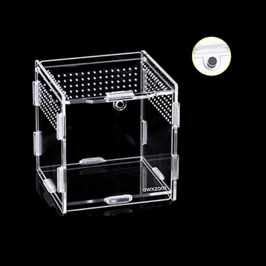 AWXZOM Magnetic Acrylic Case, micro habitat small Tarantula Enclosure enclosure for arboreal Tarantula Scorpion Sling Lizards Mantis Snake Gecko jumping spider snail Insect Isopods (4.7*4.7*7.8 inch)
