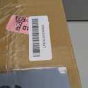 Dried Greenery Stem Decor