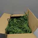 Christmas Garland with Lights for Mantle - 9FT Norfolk Pine Garland Pre-Lit Battery Operated Garlands, Real Touch Artificial Faux Greenery Garland for Fireplace, Table, Stairs & Christmas Decorations