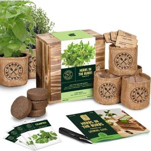 Indoor Herb Garden Starter Kit - Heirloom, Non-GMO Herb Seeds - Basil Thyme Parsley Cilantro Seed, Potting Soil, Pots, Scissors - DIY Grow Kits for Growing Herbs Indoors, Kitchen, Balcony, Window Sill (EXP 12/31/26)