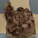 Bedsure GentleSoft Fondue Fudge Fleece Blanket for Couch - Cozy Soft Blankets for Women, Cute Small Throws for Girls, 50x60 Inches