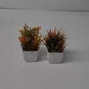 Der Rose 2 Pack Small Fall Fake Plants Mini Artificial Potted Plants Fall Table Office Decor for Home Desk Bathroom Decoration