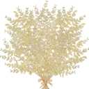 5 Stems Artificial Fall Greenery  14.6" Eucalyptus Leaf Stems for Autumn Floral Arrangements, Thanksgiving Centerpieces, Fall Decor Bouquets, Soft Cream