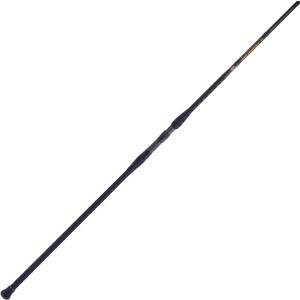 PENN Battalion II Surf Casting Fishing Rod (10' - Medium - 12-20lb - 2pc)