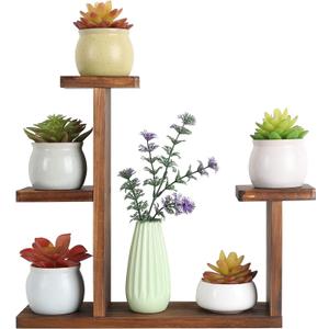 Wood Desktop Plant Stand Indoor Small Windowsill Flower Shelf Tabletop Plant Shelf Holder Display Rack for Succulent Herb in Living Room Office