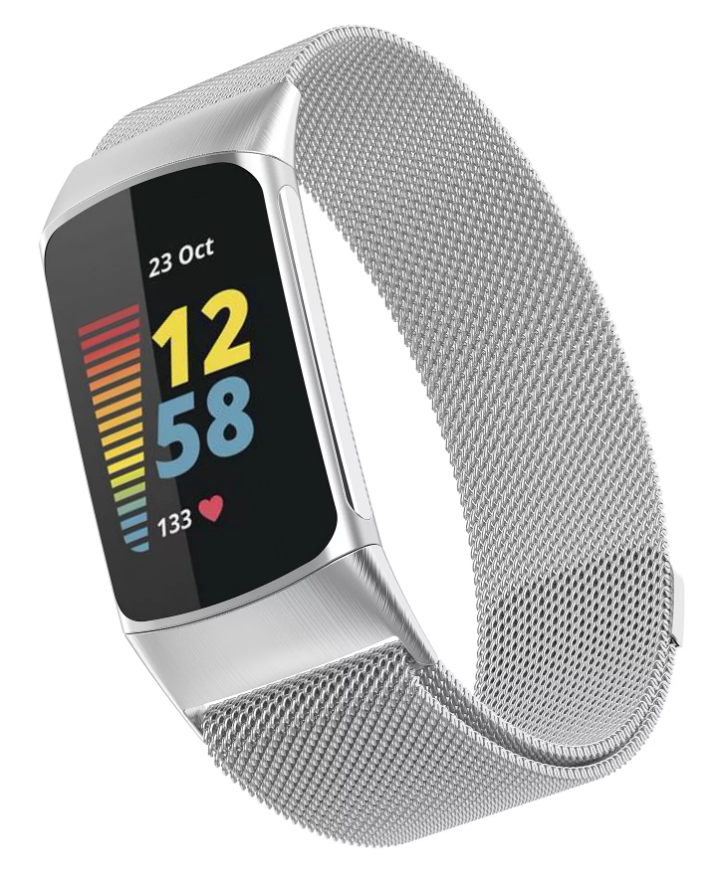 Stainless Steel Metal Band fit for Fitbit Charge 5/6 Silver