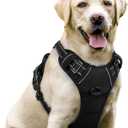 rabbitgoo Dog Harness No Pull with 2 Leash Clips, Adjustable Soft Padded, Reflective Oxford No Choke Pet Vest with Easy Control Handle for Large Dogs, Black, L