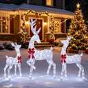 Winemana Outdoor Reindeer Christmas Decorations Yard Lighted Deer Set of 3