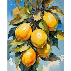 Citrus Paint by Numbers Kit for Adults - DIY Vibrant Yellow Lemons Hanging from a leafy branch Painting on Canvas 16x20In, Framed Acrylic Paint Set for Beginners, Fruit Art for Home Decoration/Gifts