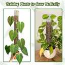2PCS 18.7-Inch D-Shaped Self-Watering Moss Pole - Plastic Monstera Support for Indoor Climbing Plants. (2, White)