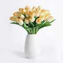 20Pcs Stems 13.5 Inch Champagne PU Artificial Moisturizing Tulips, Faux Tulips Flowers for Thanksgiving Christmas Decorations Wedding Home Table Vase Floral Arrangements
