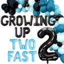 Two Fast Birthday Decorations Growing Up Two Fast Birthday Decorations Boy