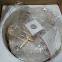 Boho Caged Fandelier Ceiling Fans with Lights and Remote Control, 18 inch