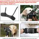 HEELE Dog Muzzle,Soft Nylon Muzzle Anti Biting Barking Chewing,Air Mesh Breathable Drinkable Adjustable Loop Pets Muzzle for Small Medium Large Dogs  (Black, L)