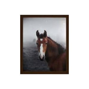 Crystal Art Gallery Highland Horse Framed Decor  18 x 22 in