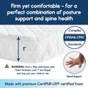 Pro Goleem Pack and Play Mattress (38"x26"), Waterproof Pack n Play Mattress Pad with Carry Bag, Firm Playard Mattress with Soft Cover, for Babies and Toddlers