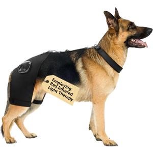 Dog Hip Brace with Red Infrared Light Therapy  Pain Relief for Arthritis, Hip Dysplasia, Spine Issues & Muscle Recovery, Portable & Cordless, Patent Pending(Male Dog, XXL) (Extra Extra Large)