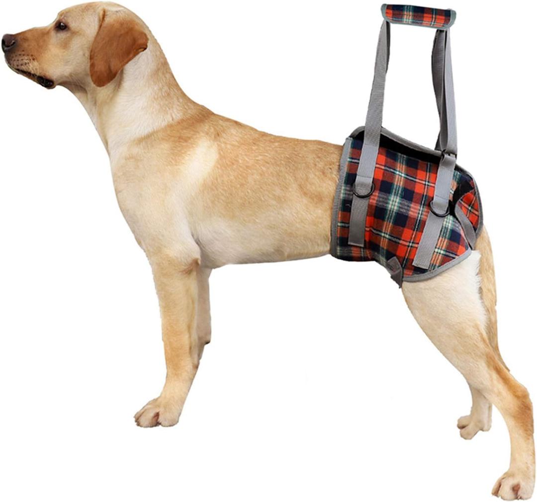 ROZKITCH Dog Lift Harness, Grid Pet Rear Support Aid Veterinarian Approved Sling for Old K9 Help With Poor Stability, Back Leg Hip Disabled Joint Injury Elderly Arthritis ACL Rehabilitation Rehab (Large, Hind Legs-Orange)