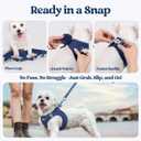 rabbitgoo Dog Harness Small Sized and Leash Set, Step in Soft Light Puppy Vest, Breathable Mesh Pet Harness, Reflective for Outdoor Safe Walking, Navy Blue XL
