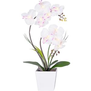 HOMESEASONS Orchid Lamp-LED Lighted Orchid Arrangements,Pre Lit Artificial Orchid,Light Up Flower Lights, Faux Orchid Phalaenopsis Arrangement (White)