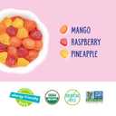 2 x YumEarth Organic Tropical Fruit Snacks, 0.7 Ounce (Pack of 10)