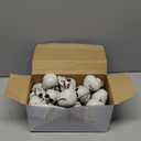 Lenwen 24 Pcs Horror Christmas Skull Hanging Tree Ornament Decor Plastic Mini Halloween Skulls Head Small Skeleton Head Decoration Hanging Ornament for Xmas Holiday Party Supplies (3.15x2.8x2.17'')