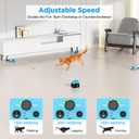 Interactive Cat Toy for Indoor Cats, Auto/Remote Control DIY Cat Mouse Hunting Treadmill Keep Bored Kitten Puppy Entertained to Chase, Feather Toy to Exercise-Sky Blue