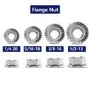 5/16-18 Serrated Flange Hex Lock Nuts 50Pcs 304 Stainless Steel 18-8, Full Thread, Hex Drive, Bright Finish by SG TZH