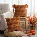 2 x Thmyo Fall Decorative Throw Pillow Covers 18x18 inch Set of 2, Caramel Pumpkin Cushion Cases for Autumn, Soft Faux Fur DIY Pillowcases for Sofa Couch Bedroom Thanksgiving Winter Home Decor Gift