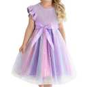 Toddler Girl Summer Dress Tulle Ruffle Sleeveless Baby Girl Fashion Casual Spring Dresses (Purple, 1 Year)