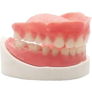 Denture Do it Yourself Full Set of Top and Bottom Fake Teeth for Improve Your Smile (Gypsum Model Gum Material and Fake Teeth)